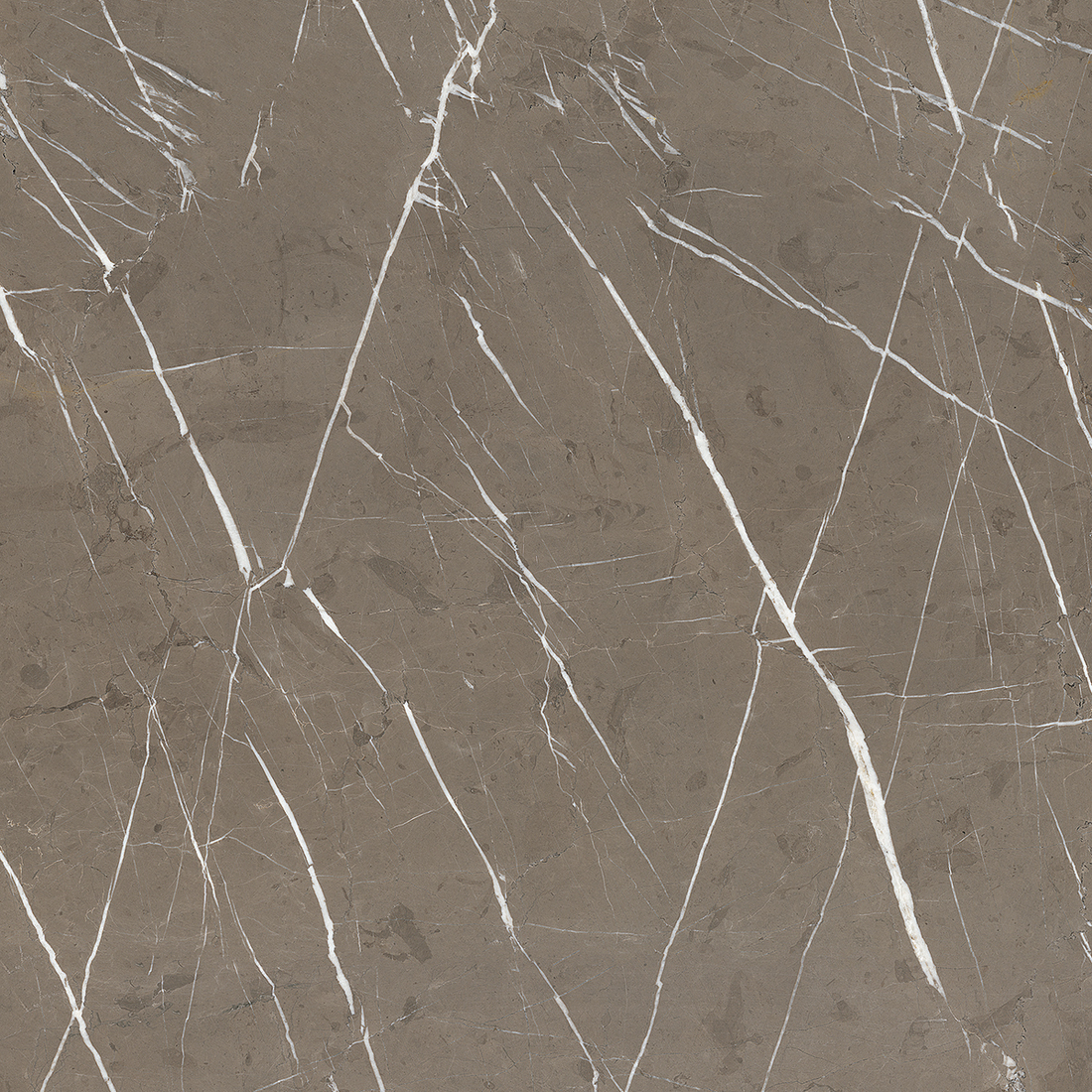 Brown Pietra Marble